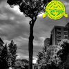 il_gigante_tra_le_nuvole